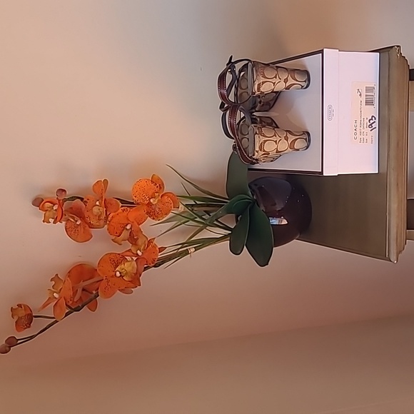 Coach Robina Vacchett Wedge Sandal - Picture 4 of 16